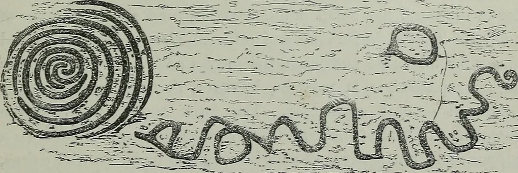 An illustration from Rude stone monuments in all countries : their age and uses, 1872, leaf 236