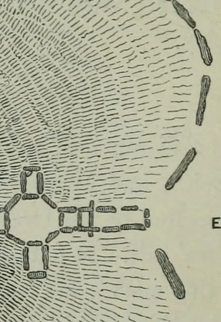 An illustration from Rude stone monuments in all countries : their age and uses, 1872, leaf 239