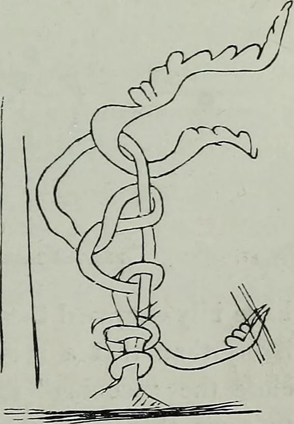 An illustration from Rude stone monuments in all countries : their age and uses, 1872, leaf 270
