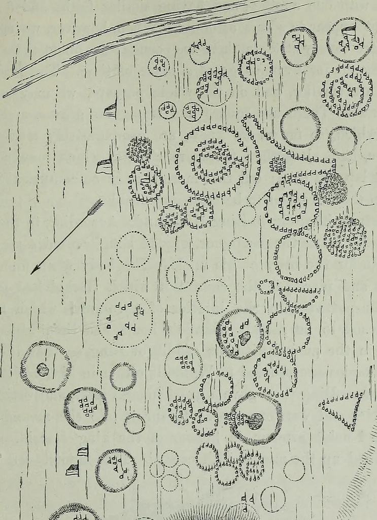 An illustration from Rude stone monuments in all countries : their age and uses, 1872, leaf 306