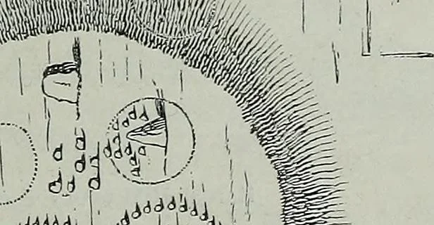 An illustration from Rude stone monuments in all countries : their age and uses, 1872, leaf 306
