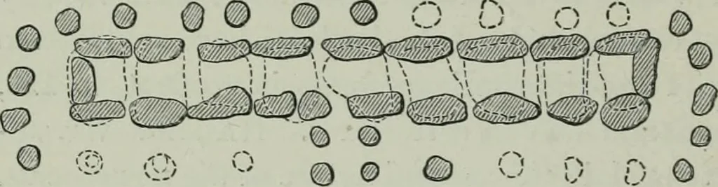 An illustration from Rude stone monuments in all countries : their age and uses, 1872, leaf 345