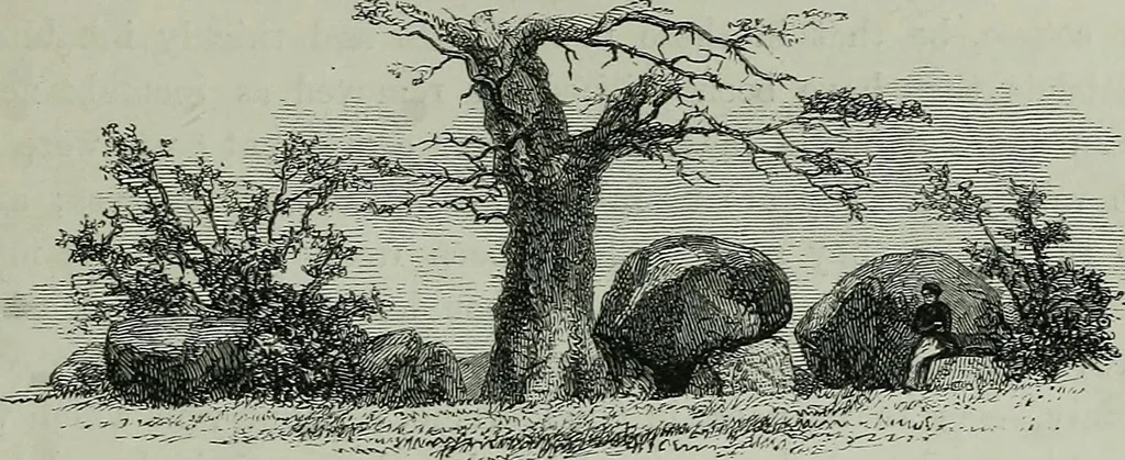 An illustration from Rude stone monuments in all countries : their age and uses, 1872, leaf 346