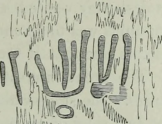 An illustration from Rude stone monuments in all countries : their age and uses, 1872, leaf 386