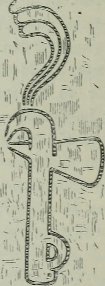 An illustration from Rude stone monuments in all countries : their age and uses, 1872, leaf 387