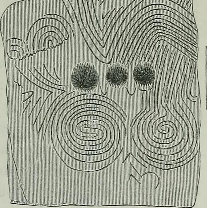 An illustration from Rude stone monuments in all countries : their age and uses, 1872, leaf 392
