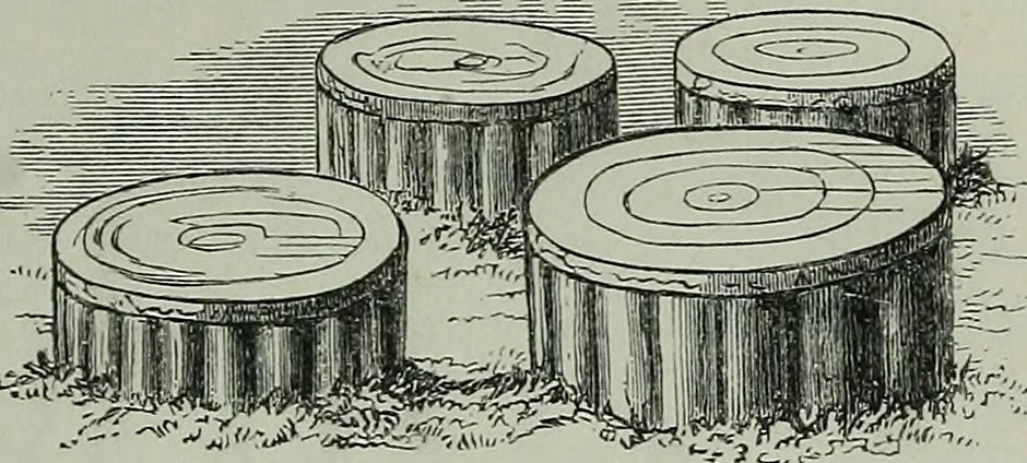 An illustration from Rude stone monuments in all countries : their age and uses, 1872, leaf 488