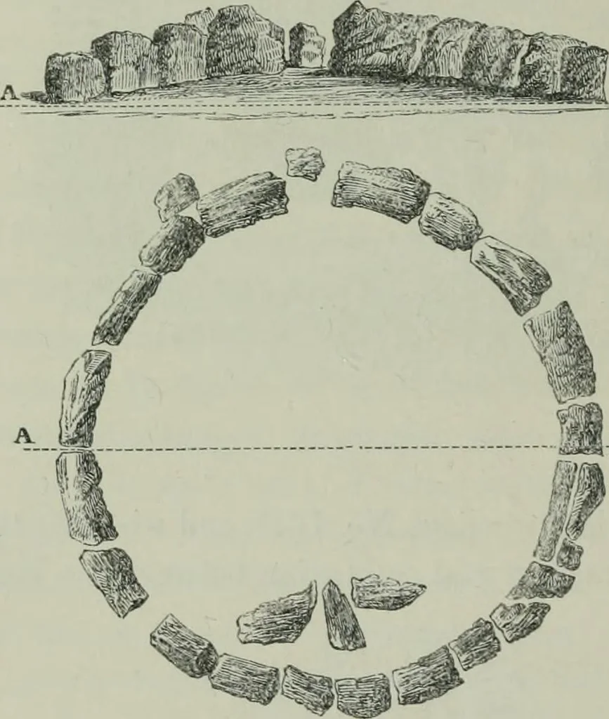 An illustration from Rude stone monuments in all countries : their age and uses, 1872, leaf 499