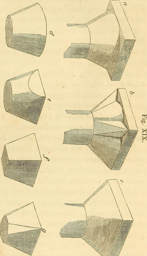 An illustration from The stones of Venice, 1851, leaf 126