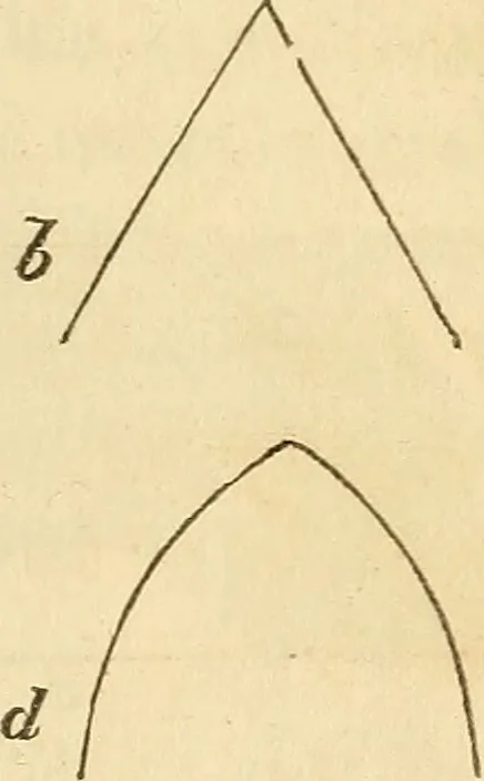 An illustration from The stones of Venice, 1851, leaf 148