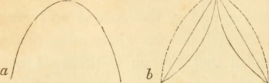 An illustration from The stones of Venice, 1851, leaf 151