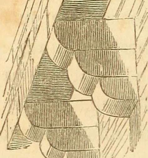 An illustration from The stones of Venice, 1851, leaf 181