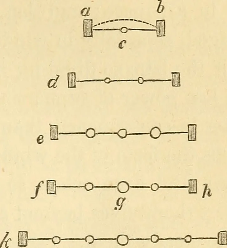An illustration from The stones of Venice, 1851, leaf 206