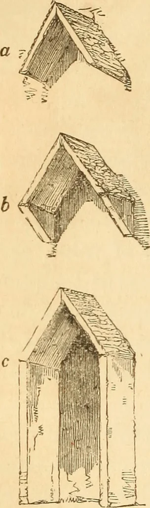 An illustration from The stones of Venice, 1851, leaf 217