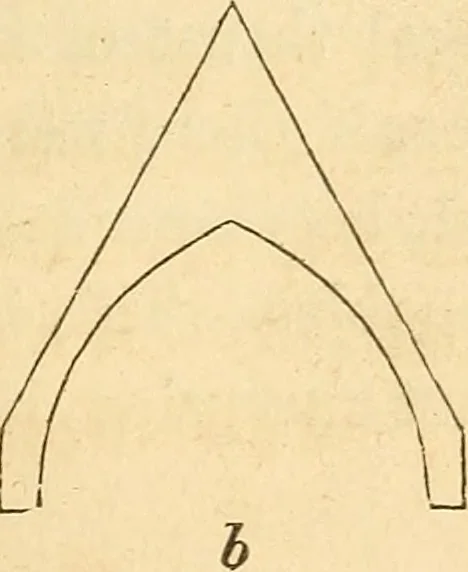 An illustration from The stones of Venice, 1851, leaf 218