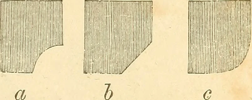 An illustration from The stones of Venice, 1851, leaf 284