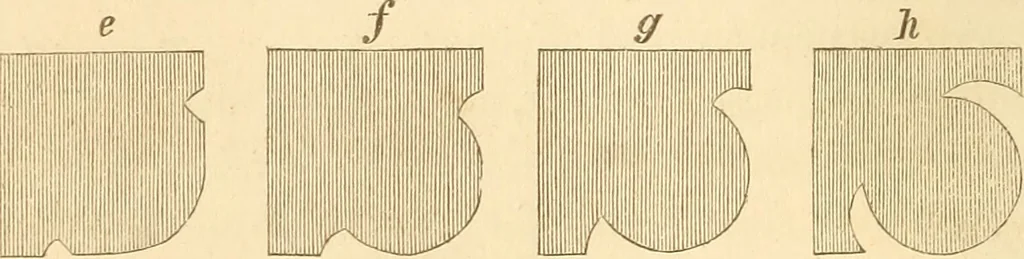 An illustration from The stones of Venice, 1851, leaf 285