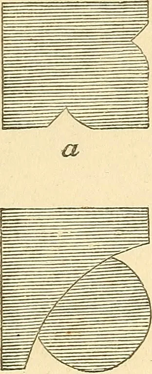 An illustration from The stones of Venice, 1851, leaf 286