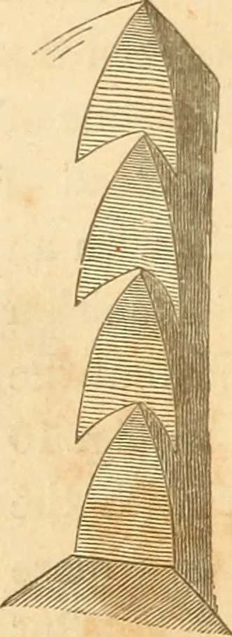 An illustration from The stones of Venice, 1851, leaf 293