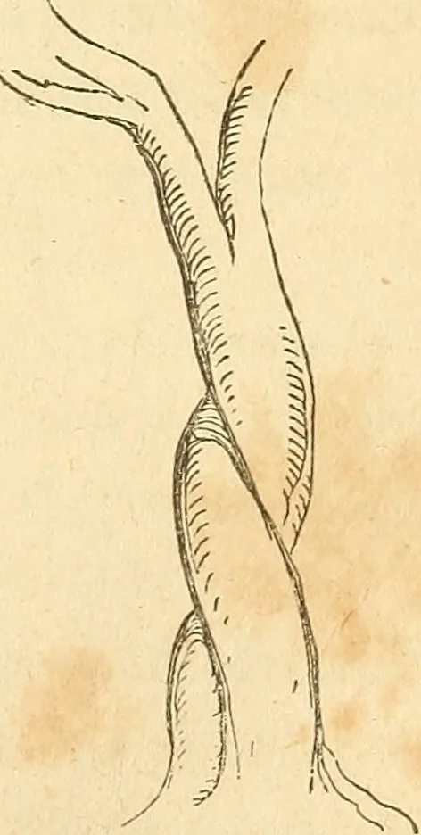 An illustration from The stones of Venice, 1851, leaf 326