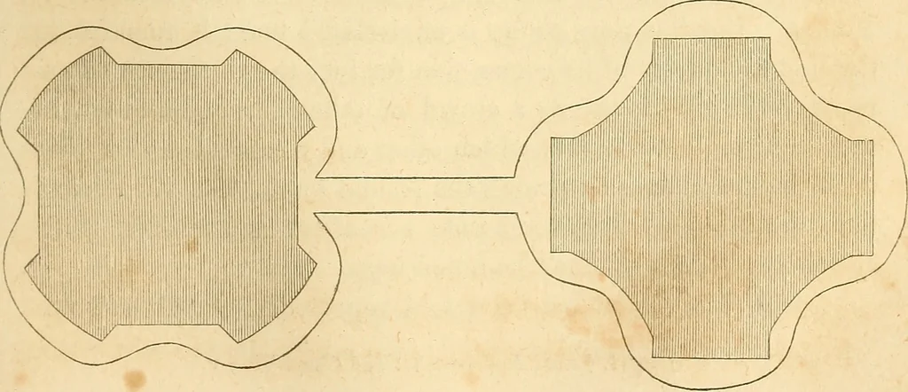 An illustration from The stones of Venice, 1851, leaf 346