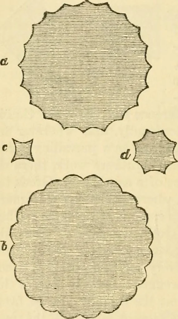 An illustration from The stones of Venice, 1851, leaf 109