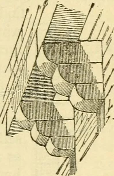 An illustration from The stones of Venice, 1851, leaf 176