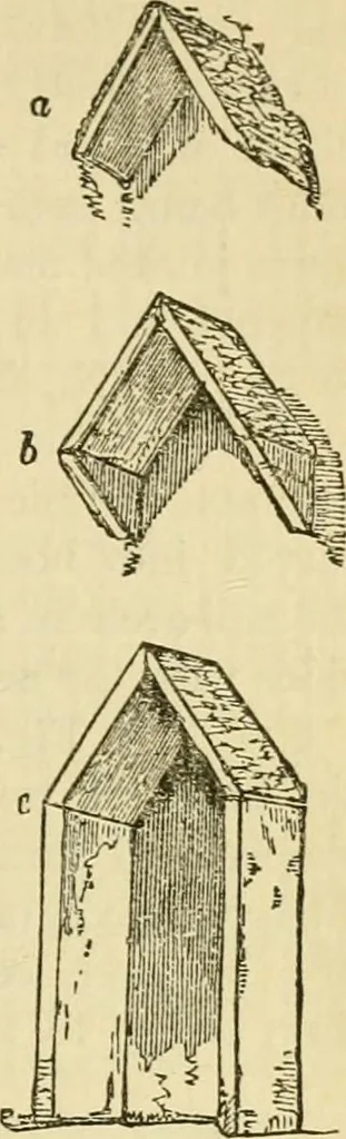 An illustration from The stones of Venice, 1851, leaf 210