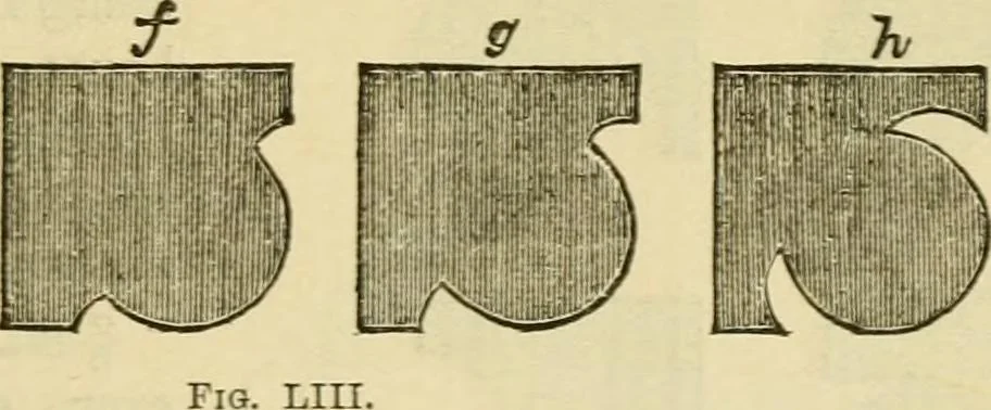 An illustration from The stones of Venice, 1851, leaf 278