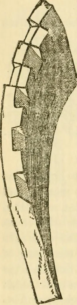 An illustration from The stones of Venice, 1851, leaf 289