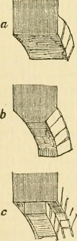 An illustration from The stones of Venice, 1851, leaf 363