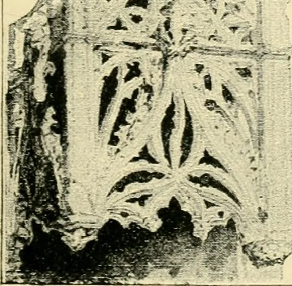 An illustration from The stones of Venice, 1851, leaf 250