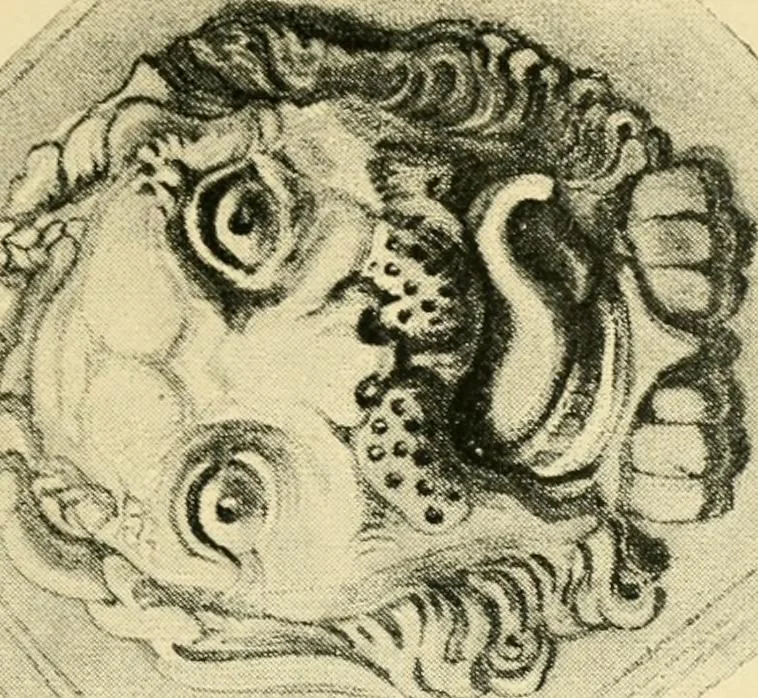 An illustration from The stones of Venice, 1851, leaf 138