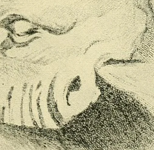 An illustration from The stones of Venice, 1851, leaf 138