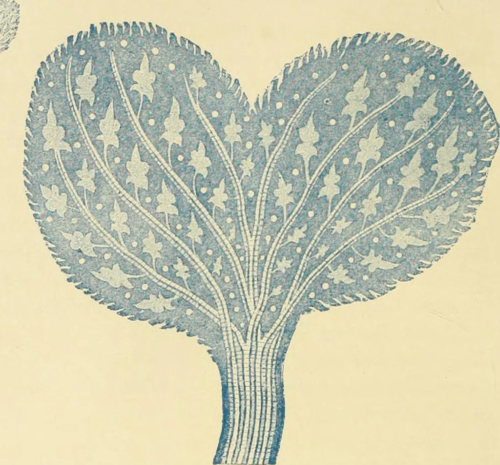 An illustration from The stones of Venice, 1851, leaf 193