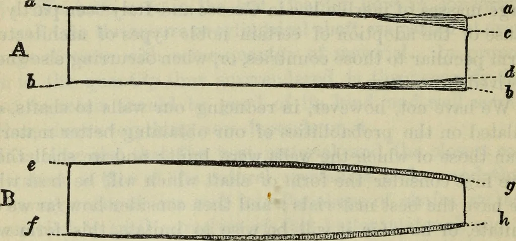 An illustration from The stones of Venice, 1890, leaf 107