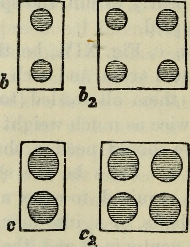 An illustration from The stones of Venice, 1890, leaf 113