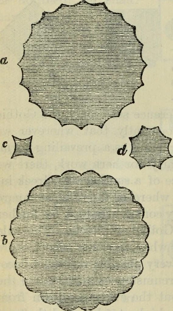 An illustration from The stones of Venice, 1890, leaf 115