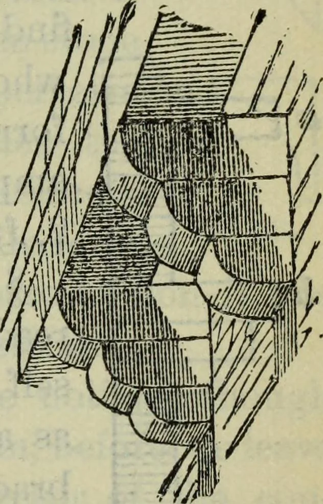 An illustration from The stones of Venice, 1890, leaf 184