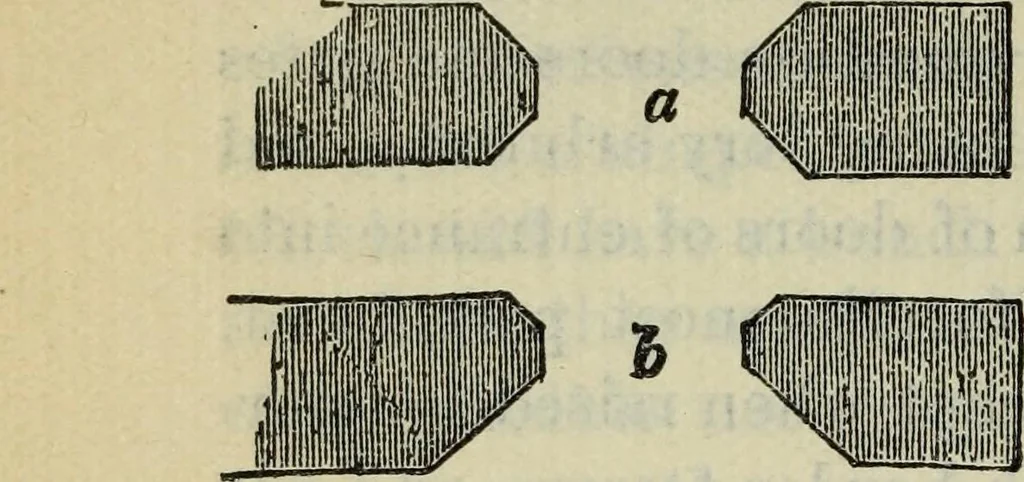 An illustration from The stones of Venice, 1890, leaf 199