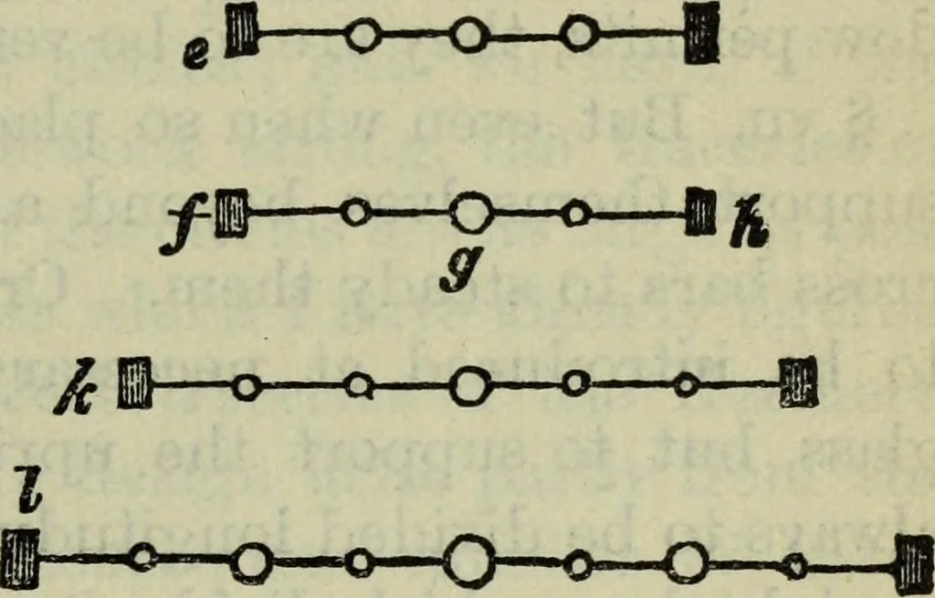 An illustration from The stones of Venice, 1890, leaf 208