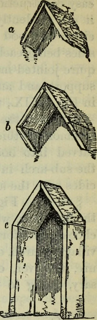An illustration from The stones of Venice, 1890, leaf 218