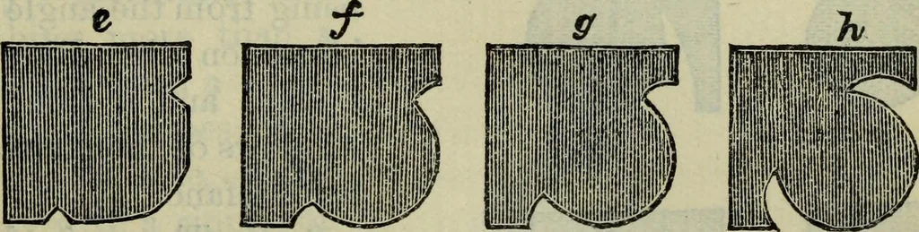 An illustration from The stones of Venice, 1890, leaf 288
