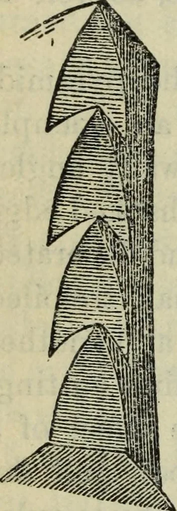 An illustration from The stones of Venice, 1890, leaf 297