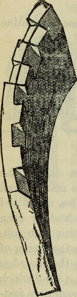 An illustration from The stones of Venice, 1890, leaf 299