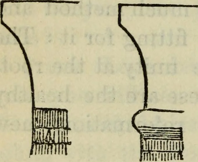 An illustration from The stones of Venice, 1890, leaf 355