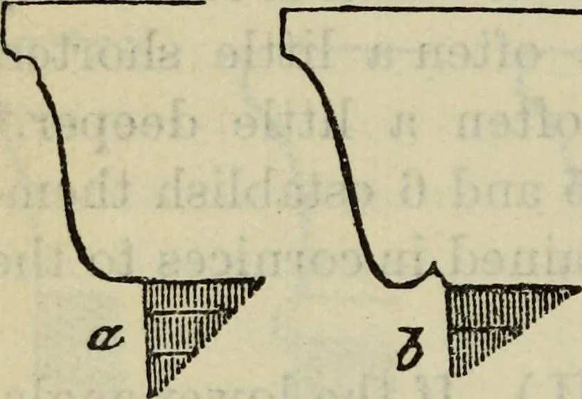An illustration from The stones of Venice, 1890, leaf 357