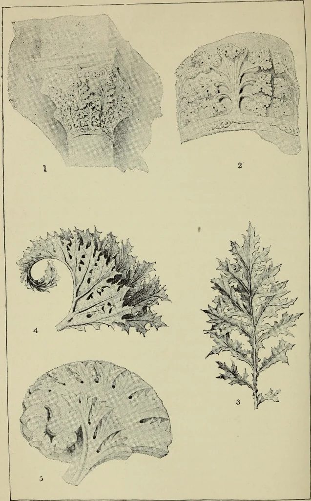 An illustration from The stones of Venice, 1890, leaf 513