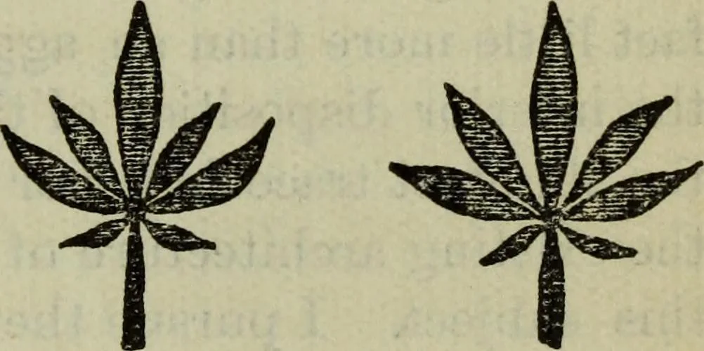 An illustration from The stones of Venice, 1890, leaf 630
