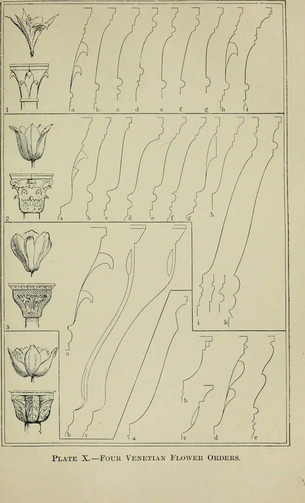 An illustration from The stones of Venice, 1890, leaf 646